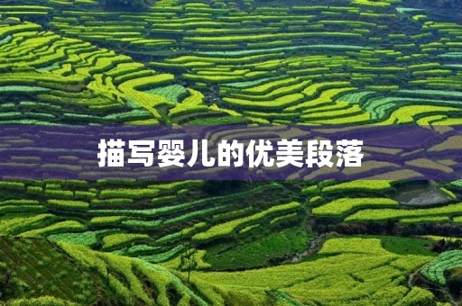 描写婴儿的优美段落 描写婴儿的优美段落