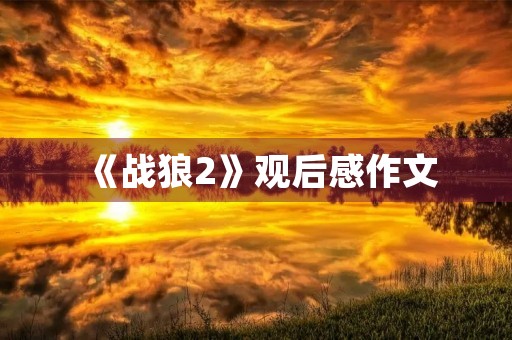 《战狼2》观后感作文 《战狼2》观后感作文