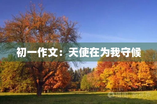 初一作文：天使在为我守候