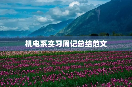 机电系实习周记总结范文