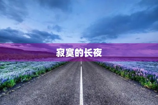 寂寞的长夜 寂寞的长夜