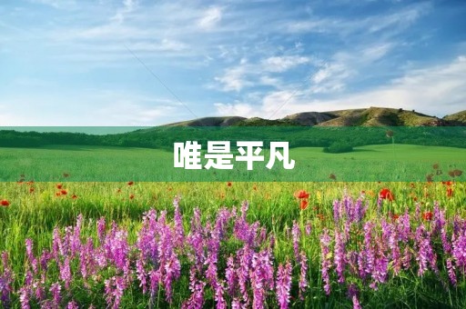 唯是平凡 唯是平凡