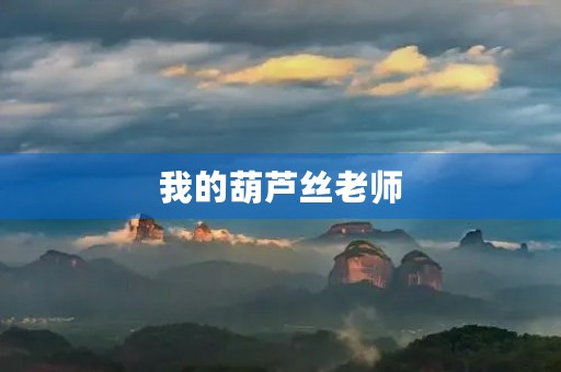 我的葫芦丝老师