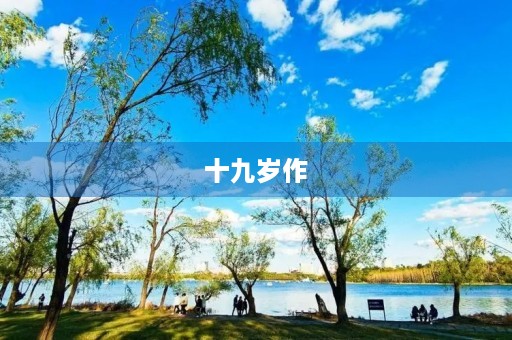 十九岁作