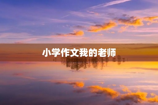 小学作文我的老师 小学作文我的老师
