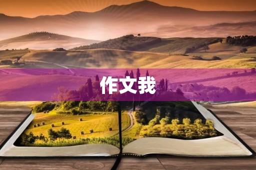 作文我 作文我