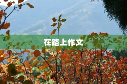 在路上作文 在路上作文
