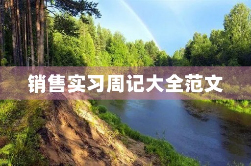 销售实习周记大全范文