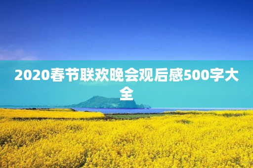 2020春节联欢晚会观后感500字大全 2020春节联欢晚会观后感500字大全