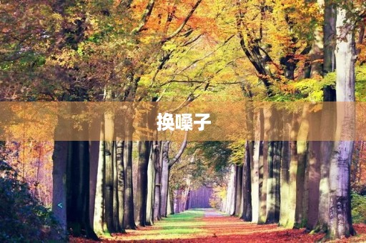 换嗓子 换嗓子