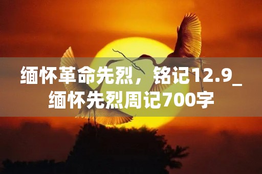 缅怀革命先烈,铭记12.9_缅怀先烈周记700字 缅怀革命先烈,铭记12.9_缅怀先烈周记700字