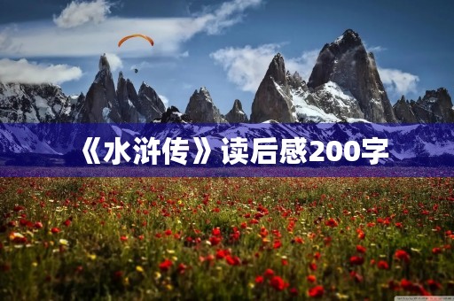 《水浒传》读后感200字