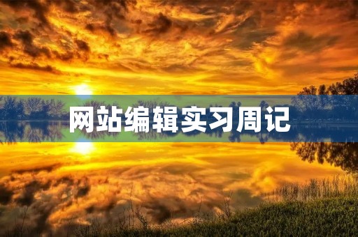 网站编辑实习周记