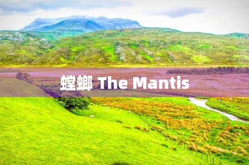 螳螂 The Mantis