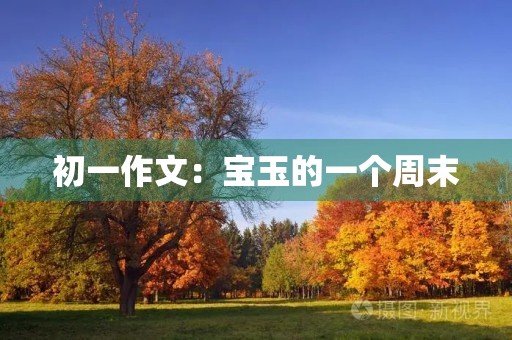 初一作文:宝玉的一个周末 初一作文:宝玉的一个周末