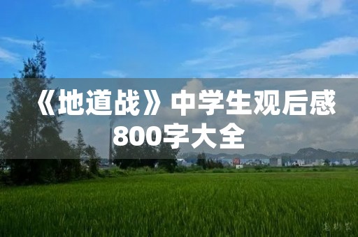 《地道战》中学生观后感800字大全 《地道战》中学生观后感800字大全