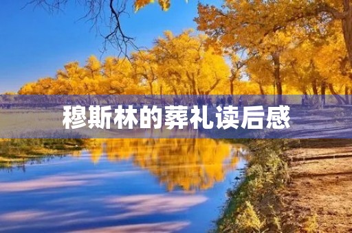 ***的葬礼读后感 ***的葬礼读后感