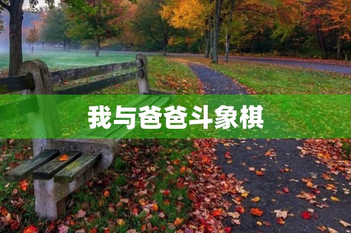 我与爸爸斗象棋