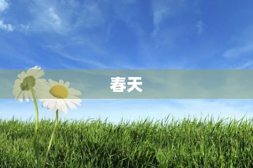 春天 春天