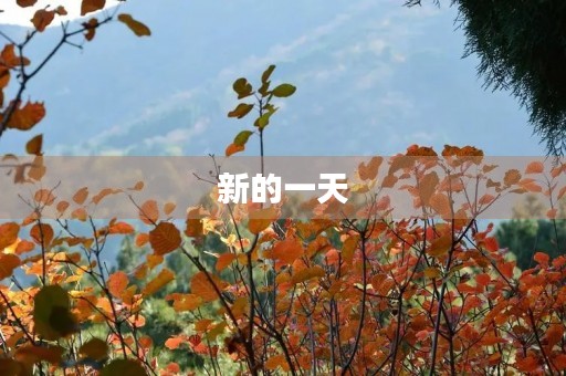 新的一天 新的一天