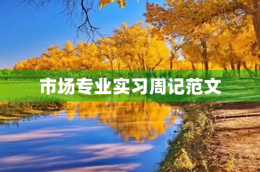市场专业实习周记范文 市场专业实习周记范文