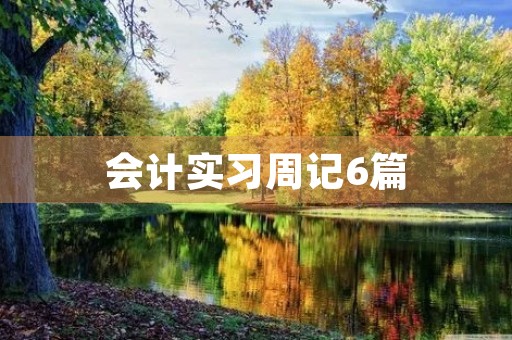 会计实习周记6篇