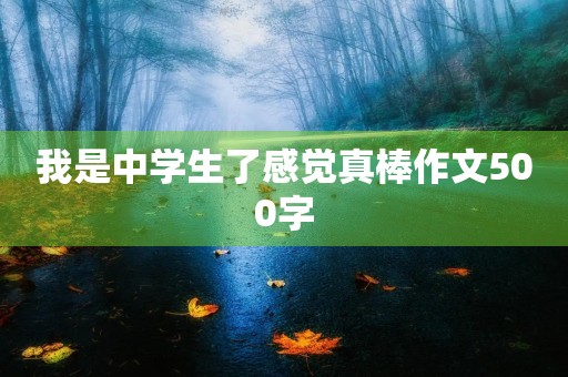 我是中学生了感觉真棒作文500字