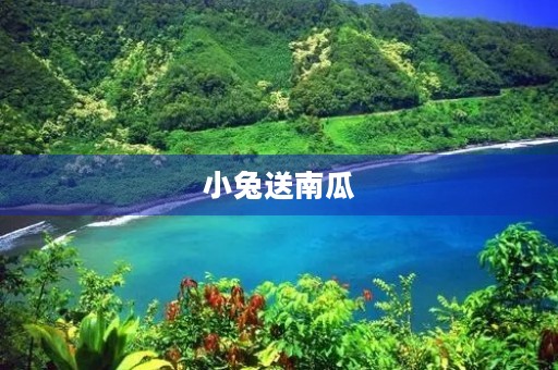 小兔送南瓜 小兔送南瓜