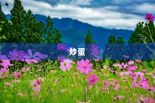 炒蛋 炒蛋