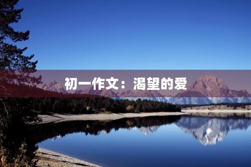 初一作文：渴望的爱