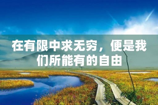 在有限中求无穷，便是我们所能有的自由