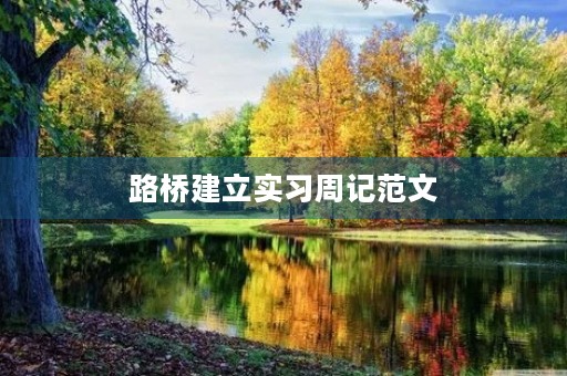 路桥建立实习周记范文