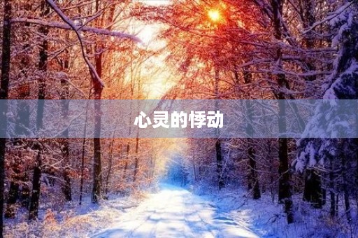 心灵的悸动