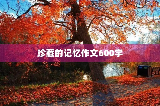 珍藏的记忆作文600字
