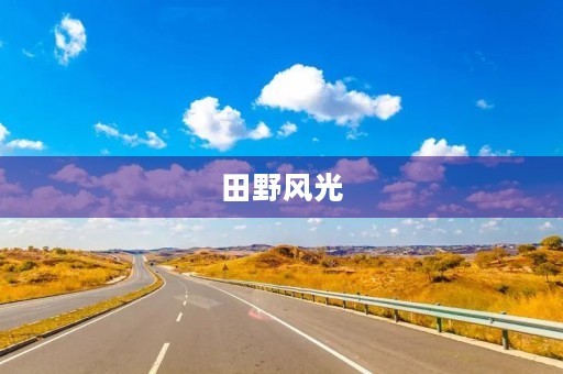 田野风光