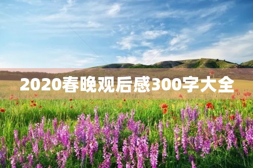 2020春晚观后感300字大全 2020春晚观后感300字大全