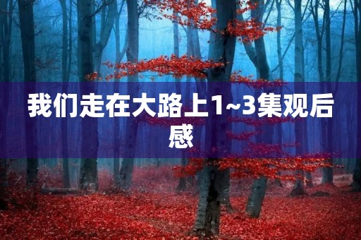 我们走在大路上1~3集观后感