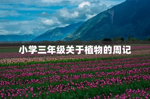 小学三年级关于植物的周记 小学三年级关于植物的周记