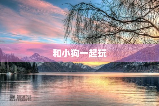 和小狗一起玩 和小狗一起玩