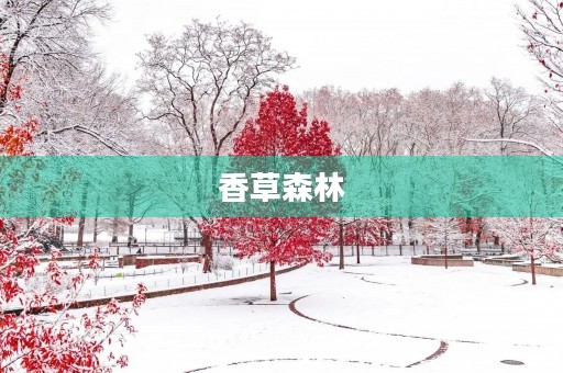 香草森林 香草森林
