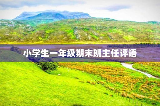 小学生一年级期末班主任评语 小学生一年级期末班主任评语