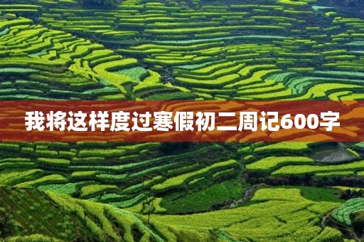 我将这样度过寒假初二周记600字 我将这样度过寒假初二周记600字