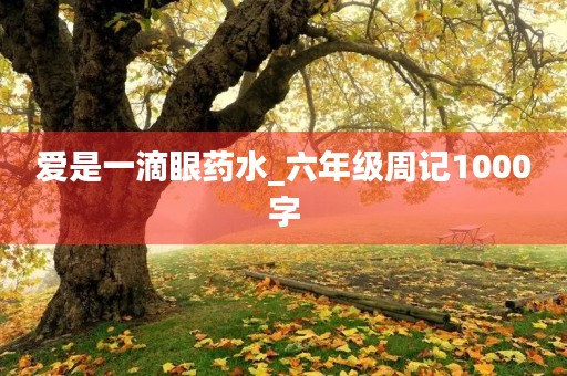 爱是一滴眼药水_六年级周记1000字 爱是一滴眼药水_六年级周记1000字