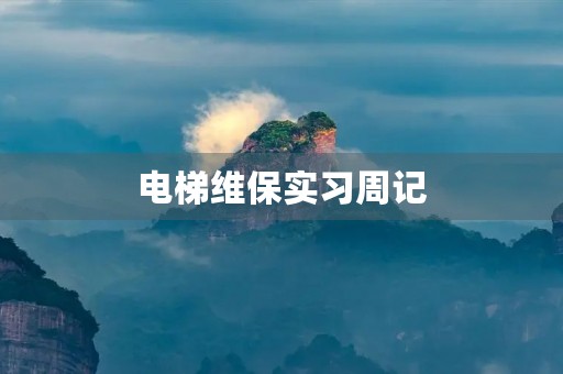 电梯维保实习周记 电梯维保实习周记