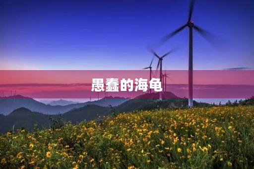 愚蠢的海龟 愚蠢的海龟