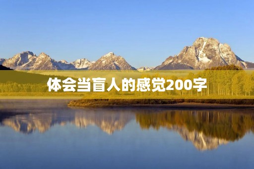 体会当盲人的感觉200字 体会当盲人的感觉200字