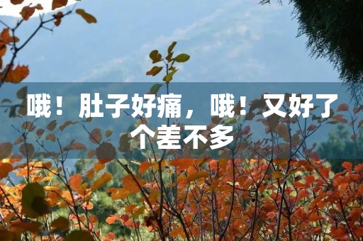 哦!肚子好痛,哦!又好了个差不多 哦!肚子好痛,哦!又好了个差不多