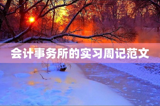 会计事务所的实习周记范文 会计事务所的实习周记范文