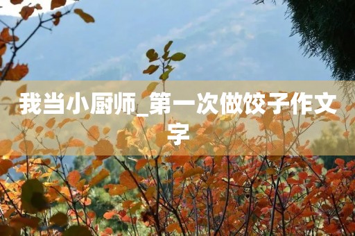 我当小厨师_第一次做饺子作文字 我当小厨师_第一次做饺子作文字