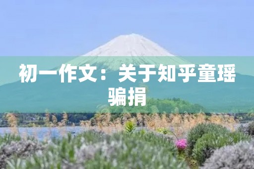 初一作文:关于知乎童瑶骗捐 初一作文:关于知乎童瑶骗捐